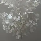 الشوقيه شارع البيك