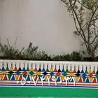 رسام قط العسيري