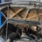 مكينة مستبيشي