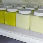 سمن غنمي ماعز ابيض سادة واصفر مبهر بسعر الجملة
