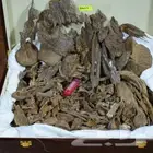 عود هندي أزرق المعروف بجودته وثباته تدوم لوقت اطول
