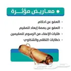 كتابة خطابات ومعاريض مميزة