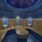 مطلوب مستثمر او ممول