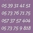 ارقام مميزه