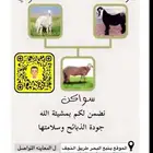 طليان ذبايح يوجد سلخ وتوصيل