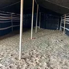 بيت شعر