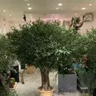 اشجار زيتون صناعي
