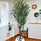 أشجار زينة- أشكال جديدة - أشجار صناعية