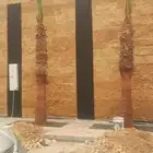 واشنطن وعربي