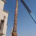 نخل وشنطونيا