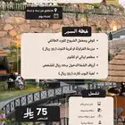 رحلة إلى الطائف