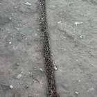 شبكه ونش 10 ملى طول 3متر و4متر