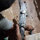 جهاز تحديد التماس الكابلات تحت الارض فحص الكهرباء كشف اعطال
