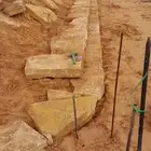 يوجدلدينا إخلاص وصقعي وجميع انواع النخيل ويوجد لدينابناء الح