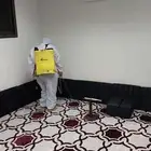 شركة مكافحة حشرات رش مبيدات للحشرات مكافحة صراصير و نمل