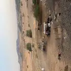 شبك غنم مراح غنم للإيجار