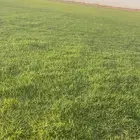 ثيل طبيعي