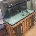 حوض سمك شركة جيبو