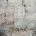 بارسيم.  رودس   مخلوط   تبن   بنوبنك