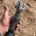 قصاص غنم مكينة