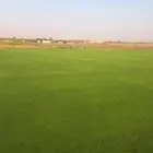 ثيل فاخر c2000