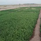 ابو حسين لجميع الورقيات جمله اسعار وجوده مناسب