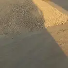 صب بيز كساره AaA ضرماء المشاعلة السيباني جو