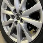 رش جميع انواع الجنوط