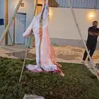 شواي شيف مشاوي