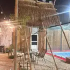 خيزران رولات