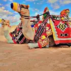 تاجير الجمل و البوني السيسي و الحصان و الحنطور