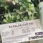 بذر بارسيم أمريكي كاف 101