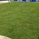 ثيل سي 2000