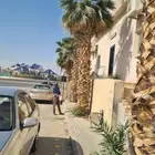 تكريب وا شنطن قس اسيف اليابس صانه عامه