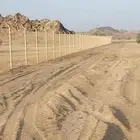 مقاول شبوك