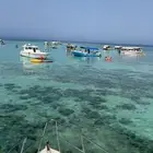 رحلات وحفلات بحريه