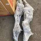 اختصاص دوده دركسيون كهرباء