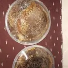 عسل للبيع