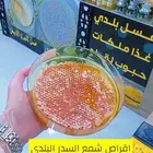 اقراص شمع عسل بلدي ملكي درجه اولى