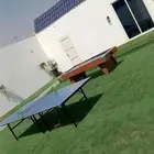 العاب تنس فرفيرة بلياردو كرة طائرة