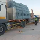 مقاول جميع انواع الشبوك والنحل عربي وواشنطني