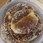 عسل سدر عسل طلح عسل سمرة عسل شوكة مضمون على الشرط