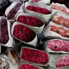 فل ورد