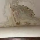 شركة كشف تسربات المياه