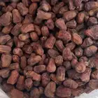 تمر ناشف للبيع