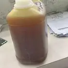 عسل سدر حضرمي