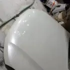 كبوت رفارف وكاله شد بلاد