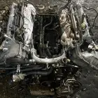 مكينة تندرا سكويا