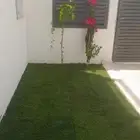 تنسيق الحدائق
