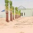 زبايناالكرام يوجدلدينانقايل خلاص وصقعي وشيشي وسكري
